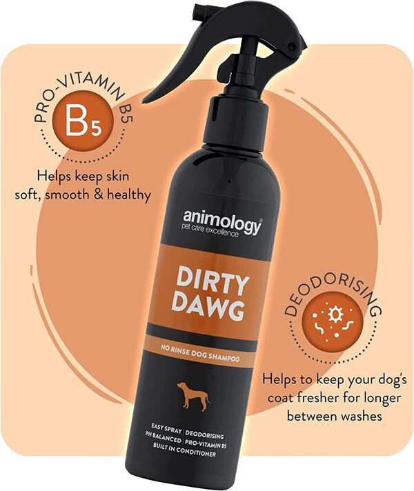 Animology - Animology Dirty Dawg Köpek Temizlik Spreyi 250 Ml (1)