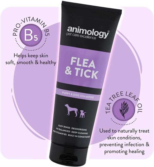 Animology - Animology Flea Tick Pire Ve Kene Köpek Şampuanı (1)