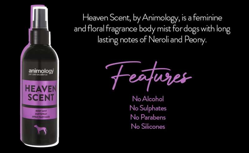 Animology Heaven Scent Köpek Parfümü Bakım Spreyi 150 Ml. - Thumbnail