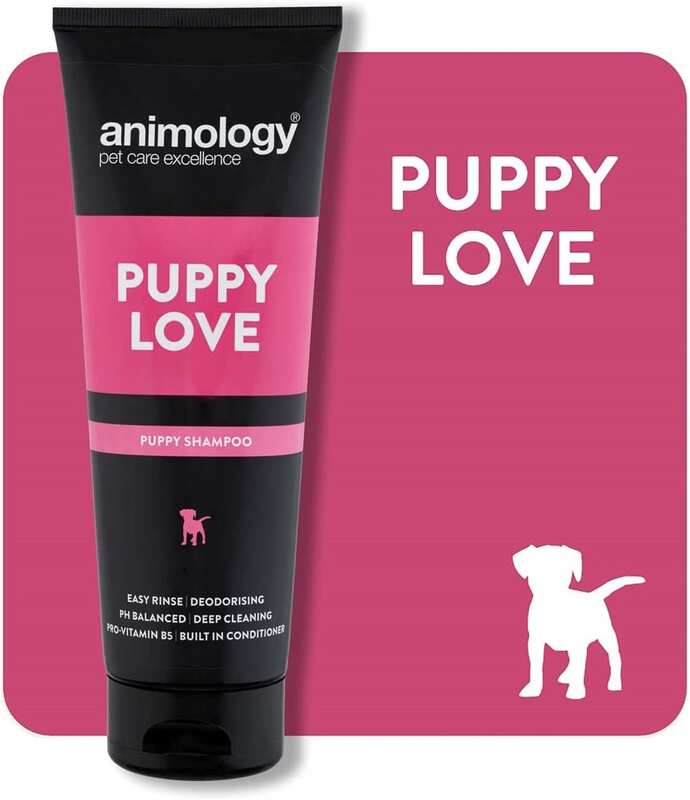 Animology Puppy Love Yavru Köpek Şampuanı 250 Ml - Thumbnail