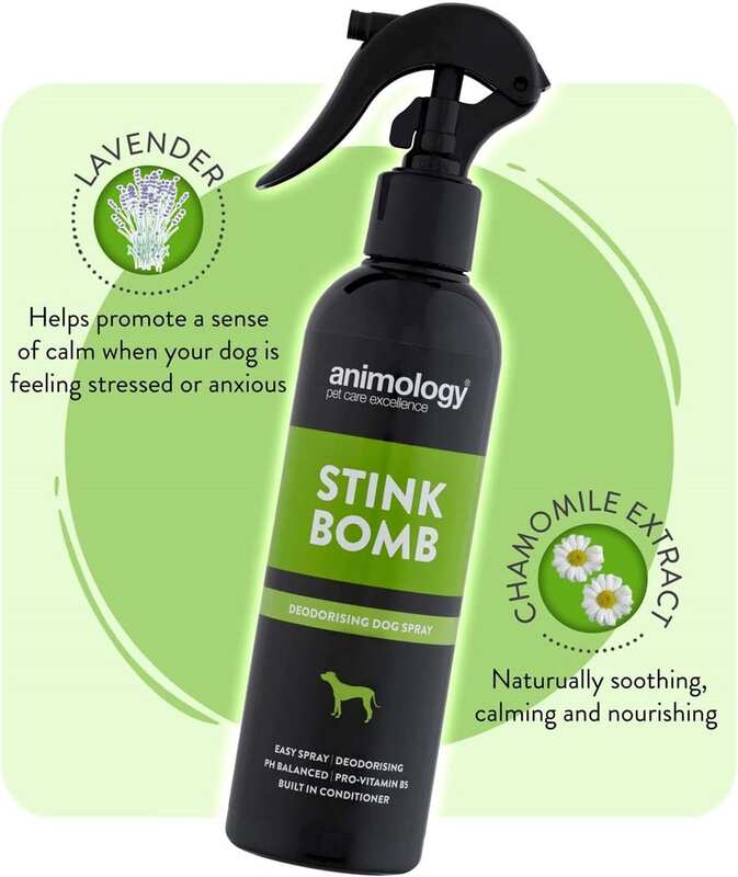 Animology - Animology Stink Bomb Köpek Temizlik Spreyi 250 Ml (1)