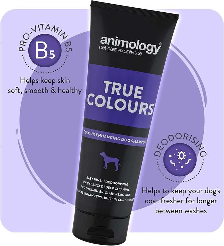 Animology - Animology True Color Köpek Şampuanı 250 Ml (1)