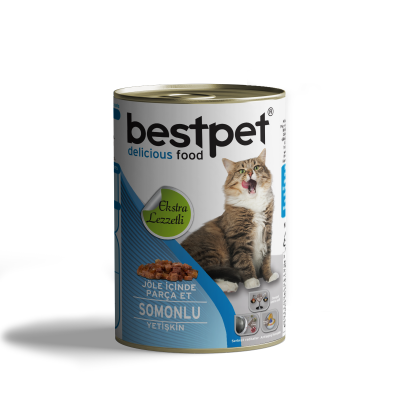 BESTPET SOSLU PARÇA ETLİ SOMONLU KONSERVE YETİŞKİN KEDİ MAMASI 415 GR. - 1