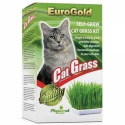 Euro Gold Cat Grass Kedi Çimi - Thumbnail