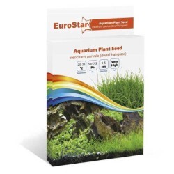 Eurostar Bitki Tohumu Eleocharıs Parvula - Thumbnail