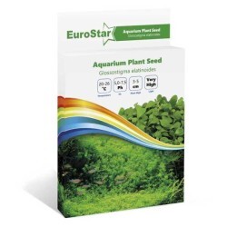 Eurostar Bitki Tohumu Glossostıgma Elatınoıdes - Thumbnail