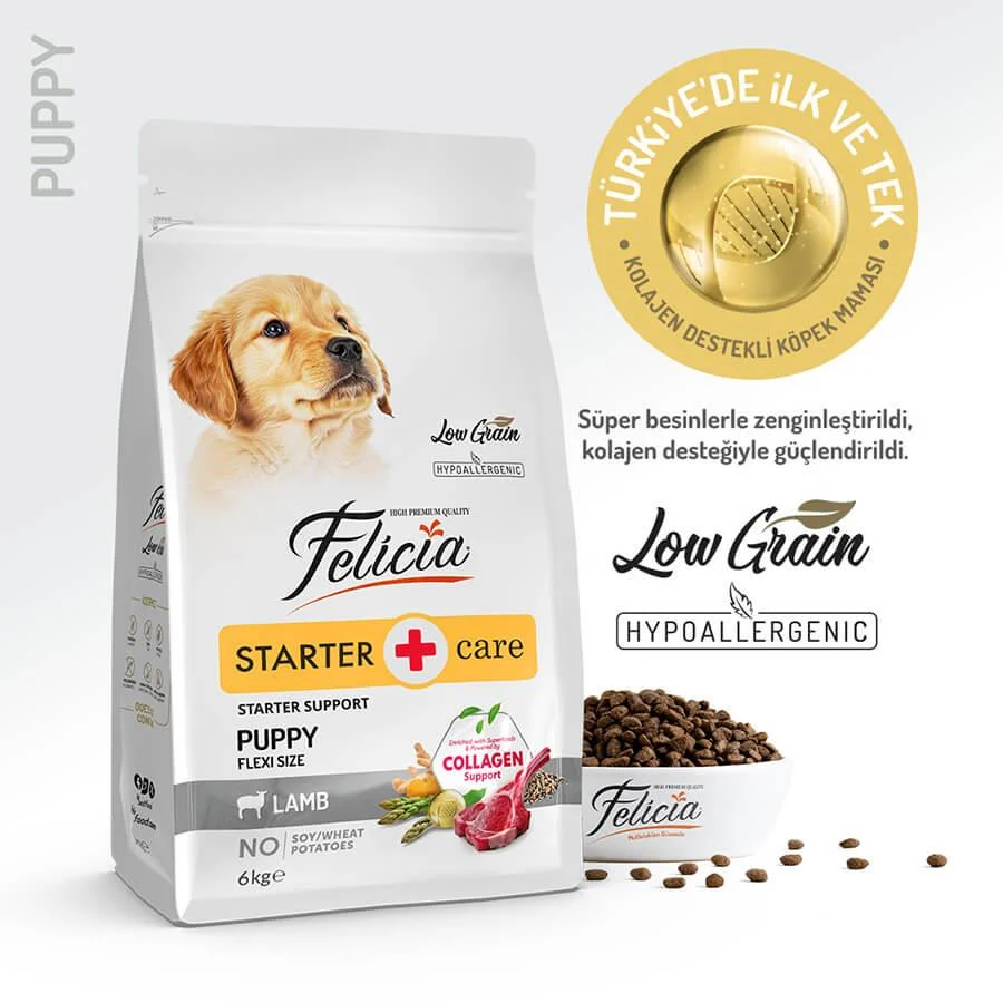 Felicia - Felicia Az Tahıllı Yavru Kuzulu Small Mini Hypoallergenic Köpek Maması 6 Kg.