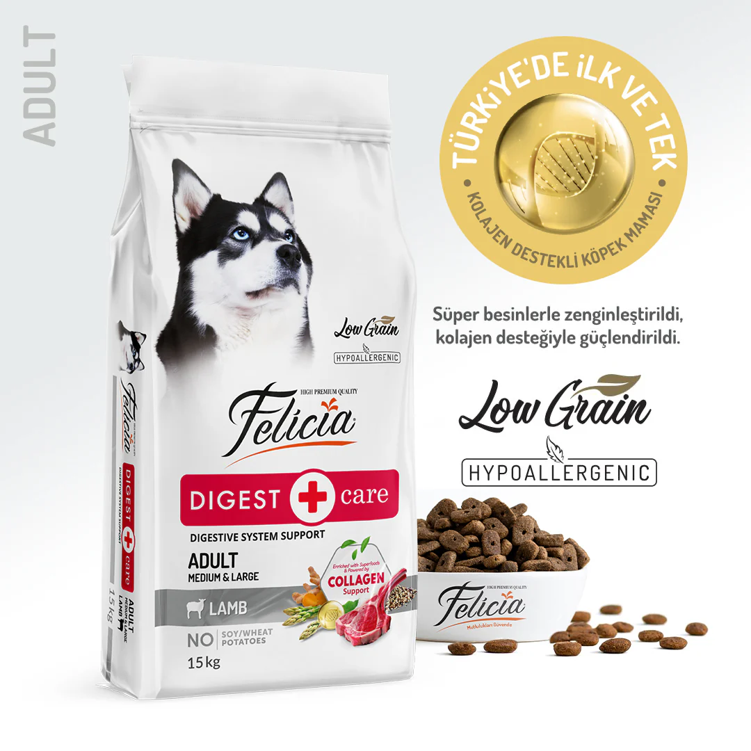 Felicia - Felicia Düşük Tahıll Kuzulu Hypoallergenic Yetişkin Köpek Maması 15 Kg.