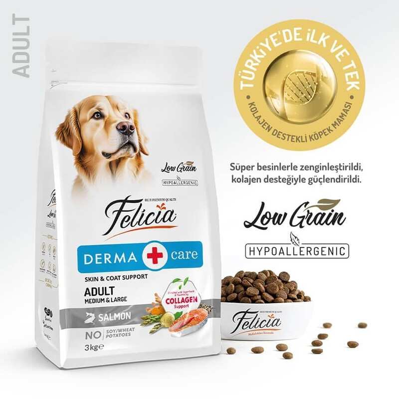 Felicia - Felicia Düşük Tahıll Somonlu Hypoallergenic Yetişkin Köpek Maması 3 Kg.