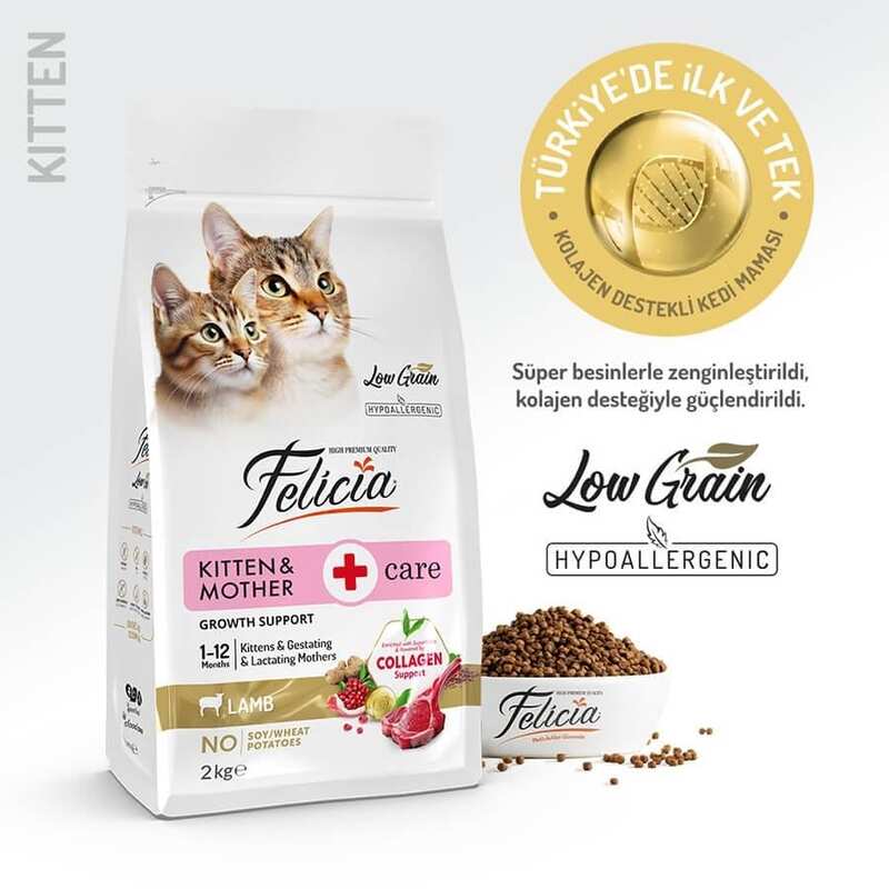 Felicia - Felicia Düşük Tahıllı Kuzulu Hypoallergenic Yavru Kedi Maması 2 Kg.
