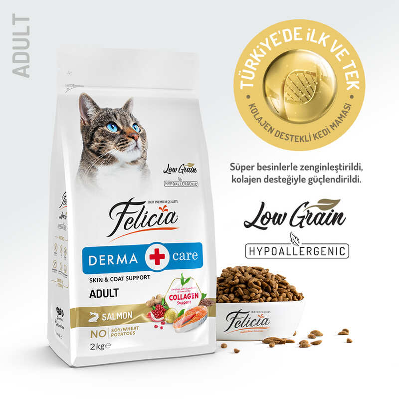 Felicia - Felicia Az Thl Yetişkin Somonlu Kedi Maması 2 Kg