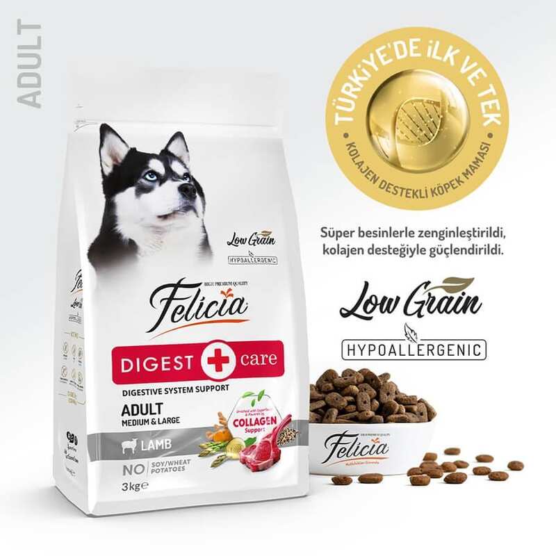 Felicia - Felicia Kuzulu Yetişkin Köpek Maması 3 Kg