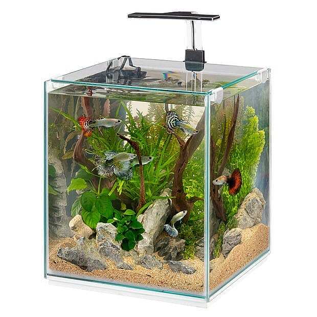 Ferplast Tonga 30 Akvaryum Seti 30 L