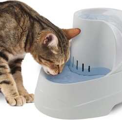 Ferplast Vega Şelale Otomatik Kedi Köpek Su Kabı 2 Litre - Thumbnail