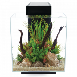 Fluval Edge 46 L Akvaryum Siyah - Thumbnail