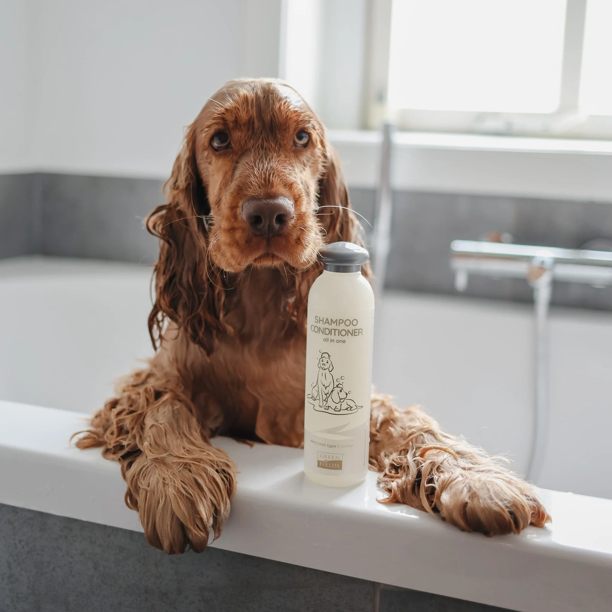 Green Fields Dog Shampoo Kremli Köpek Şampuanı 270 Ml - Thumbnail