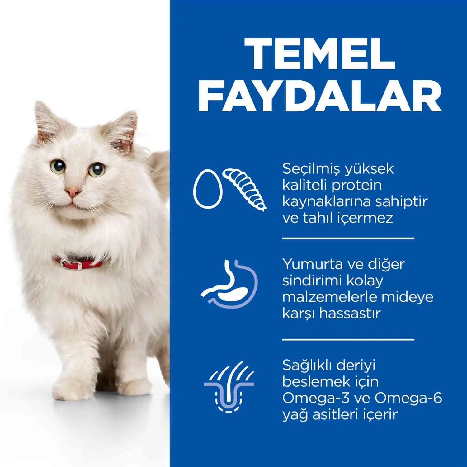 Hills Hypoallergenic Yumurta ve Böcek Proteinli Kedi Maması 1,5kg - Thumbnail