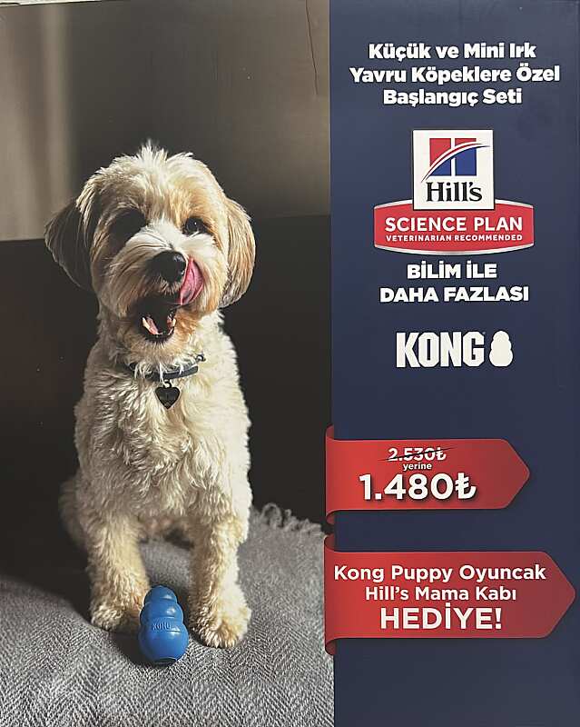 HİLLS KÜÇÜK VE MİNİ IRK YAVRU KÖPEK BAŞLANGIÇ SETİ