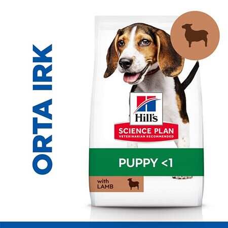 Hills Puppy Kuzu Etli Yavru Orta Irk Köpek Maması 2,5 Kg. - Thumbnail