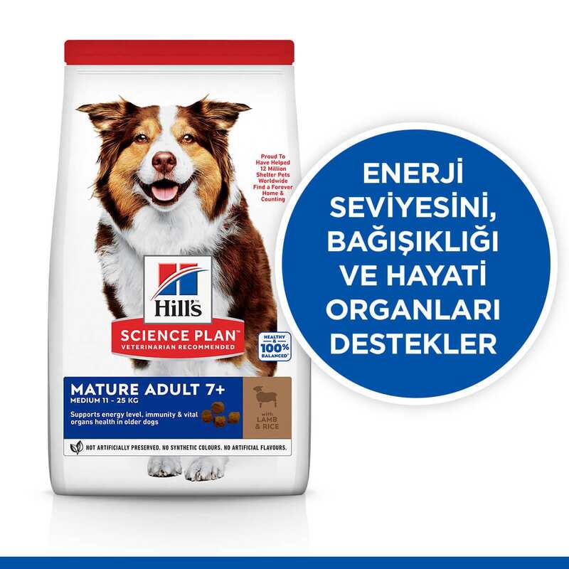 Hills - Hills Science Plan Mature +7 Tüm Irklar İçin Kuzu Etli Pirinçli Yaşlı Köpek Maması 14 Kg. (1)