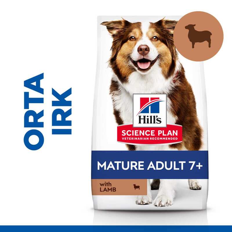 Hills Science Plan Mature +7 Tüm Irklar İçin Kuzu Etli Pirinçli Yaşlı Köpek Maması 14 Kg. - Thumbnail