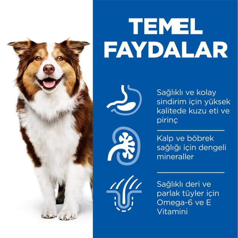 Hills Science Plan Mature +7 Tüm Irklar İçin Kuzu Etli Pirinçli Yaşlı Köpek Maması 2.5 Kg. - Thumbnail