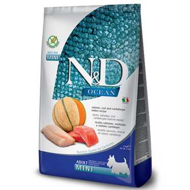 N&D - N&D Ocean Morina Balıklı Bal Kabaklı Ve Kavunlu Mini Irk Tahılsız Yetişkin Köpek Maması 2,5 Kg