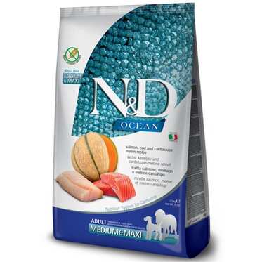 N&D - N&D Ocean Morina Balıklı Bal Kabaklı Ve Kavunlu Orta Ve Büyük Irk Tahılsız Yetişkin Köpek Maması 2,5 Kg