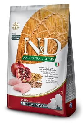 N&D Düşük Tahıllı Tavuklu Orta Ve Büyük Irk Yavru Köpek Maması 2.5 Kg. - 1