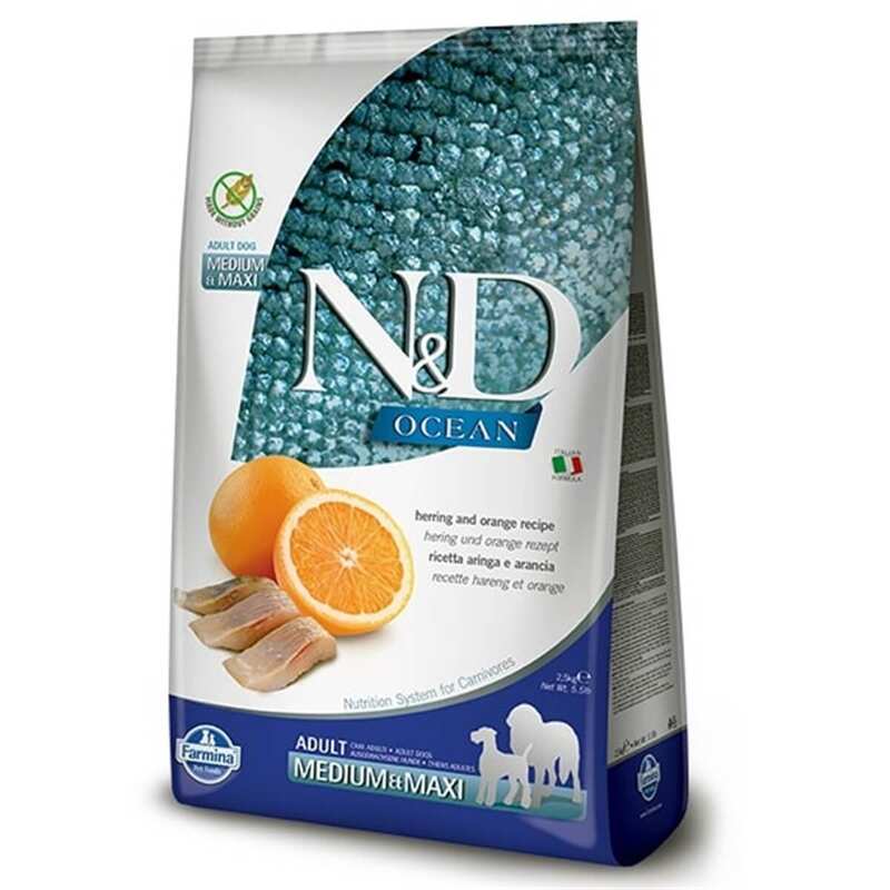 N&D - N&D Medium Maxi, Tahılsız, Ringa Balıklı Ve Portakallı Yetişkin Köpek Maması 12 Kg.