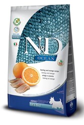 N&D OCEAN - N&D Ocean Balıklı Küçük Irk Tahılsız Yetişkin Köpek Maması 2.5 Kg.