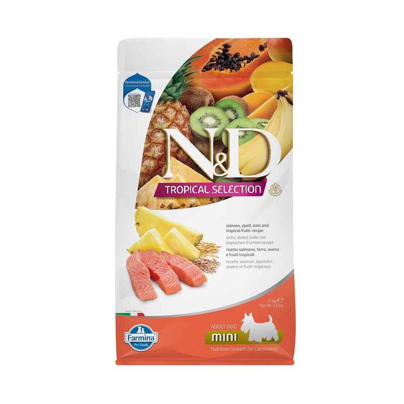 N&D TROPİCAL - N&D Tropical Somonlu ve Tropikal Meyveli Mini Irk Yetişkin Köpek Maması 1,5kg