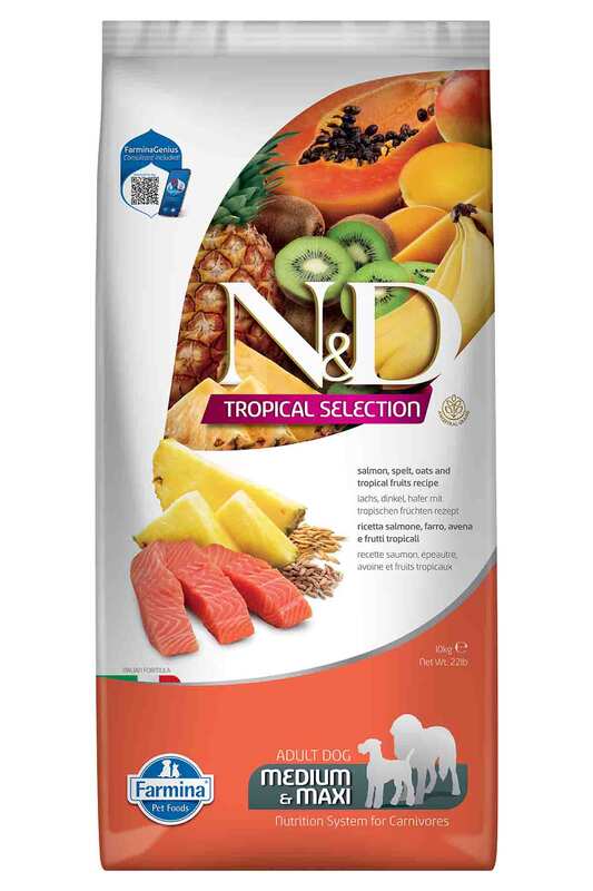 N&D - N&D Tropical Somonlu ve Tropikal Meyveli Orta ve Büyük Irk Yetişkin Köpek Maması 10 Kg