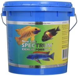 New Life Spectrum - New Life Spectrum Cichlid Formula Balık Yemi 1 Mm - 2000 Gr (1)