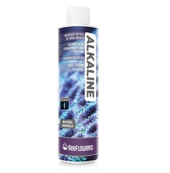 Reeflowers - Reeflowers Alkaline-Easy Balling I 1000 Ml