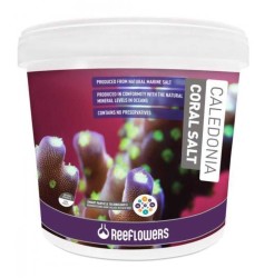 Reeflowers Caledonia Coral Sa Litre 22,5 Kg - Thumbnail