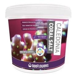 Reeflowers - Reeflowers Caledonia Coral Salt 25 Kg