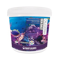 Reeflowers - Reeflowers Caledonia Deniz Tuzu 25 Kg