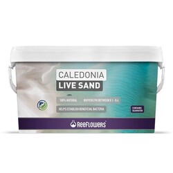 Reeflowers Caledonia Live Sand Purple 18Kg - Thumbnail