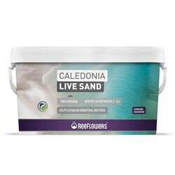 Reeflowers Caledonia Live Sand Purple 18Kg - Thumbnail