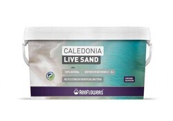 Reeflowers Caledonia Live Sand White 9Kg - Thumbnail