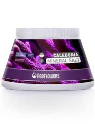 Reeflowers - Reeflowers Caledonia Mineral Sa Litre 1000 Ml - Tuz