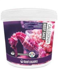 Reeflowers - Reeflowers Caledonia Reef Sa Litre 22,5 Kg - Tuz