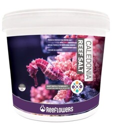 Reeflowers - Reeflowers Caledonia Reef Salt 25 Kg