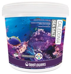 Reeflowers - Reeflowers Caledonia Sea Sa Litre 22,5 Kg - Tuz