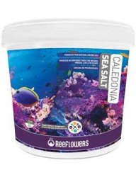 Reeflowers Caledonia Sea Sa Litre 6,5 Kg - Tuz - Thumbnail