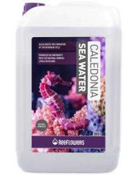 Reeflowers - Reeflowers Caledonia Sea Water 20 Litre - Hazır Deniz Suyu