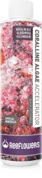 Reeflowers Coralline Algae Accelerator 500 Ml - Thumbnail