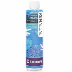 Reeflowers - Reeflowers Remalgae Akvaryum Yosun Giderici 1000 Ml