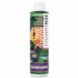 Reeflowers - Reeflowers Remammonia Amonyak Giderici 1000 Ml